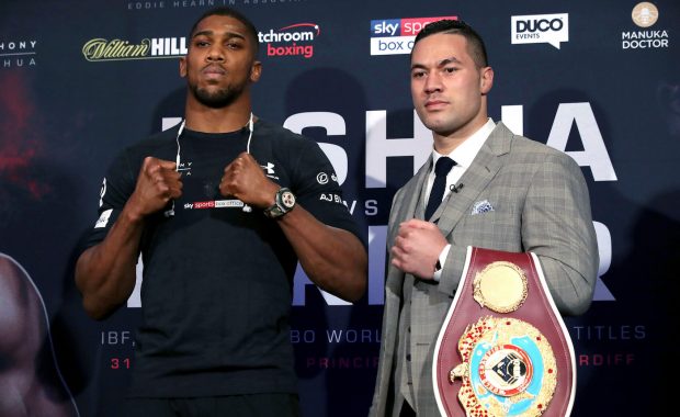 JOSHUA vs. PARKER, 31. marec 2018