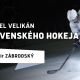 Vladislav Zábrodský - Velikán slovenského hokeja
