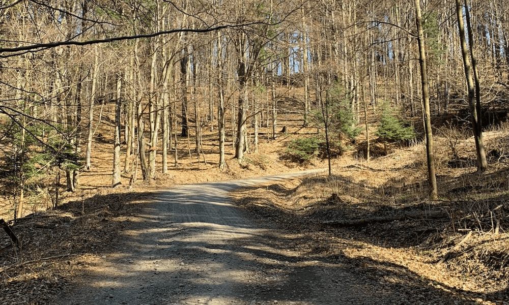 Turistické denníky: Ako bolo na Čergove?