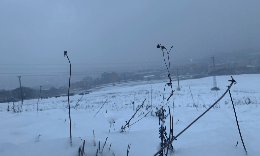 Lockdown stories: Po stopách bežkárov