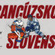 České pžíklepy, MS v hokeji 2024: Francúzsko - Slovensko