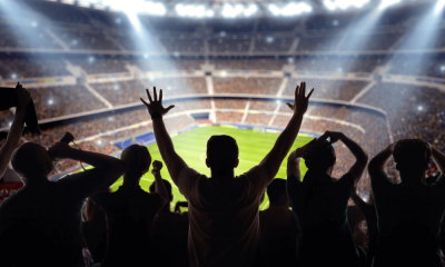 Fanúšik na štadióne